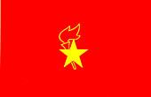 中国少年先锋队大队旗